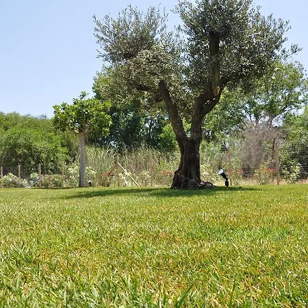 Casa Sola * Menfi
